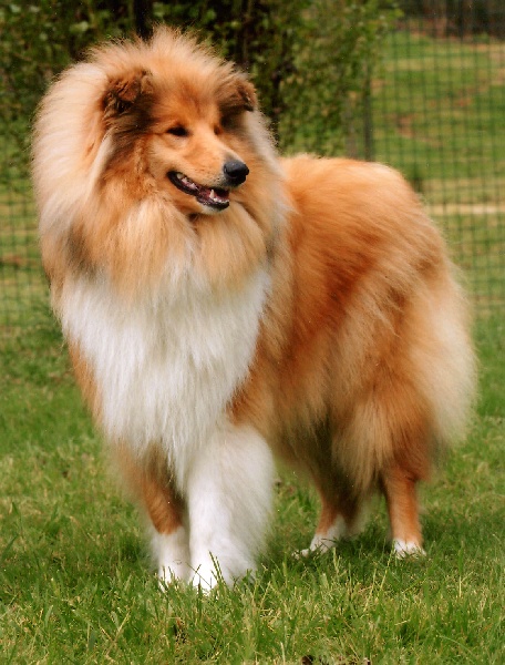 Believe in love des stuarts de boisbelle