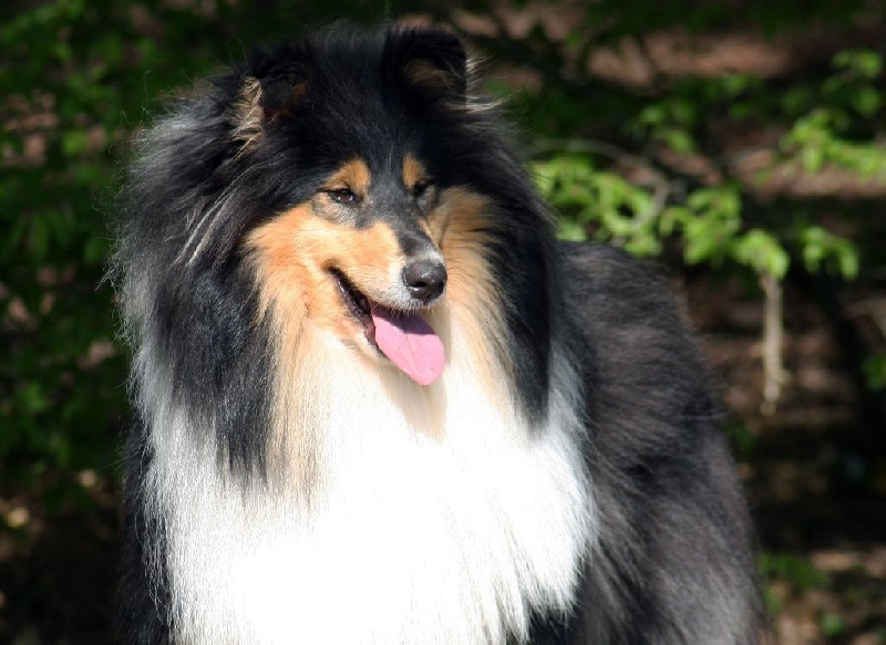 Gracieuse babydoll du Domaine de Jean-Vincéanne